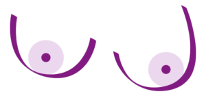 Illustration einer Brust